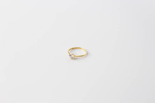 Anillo 4 patillas